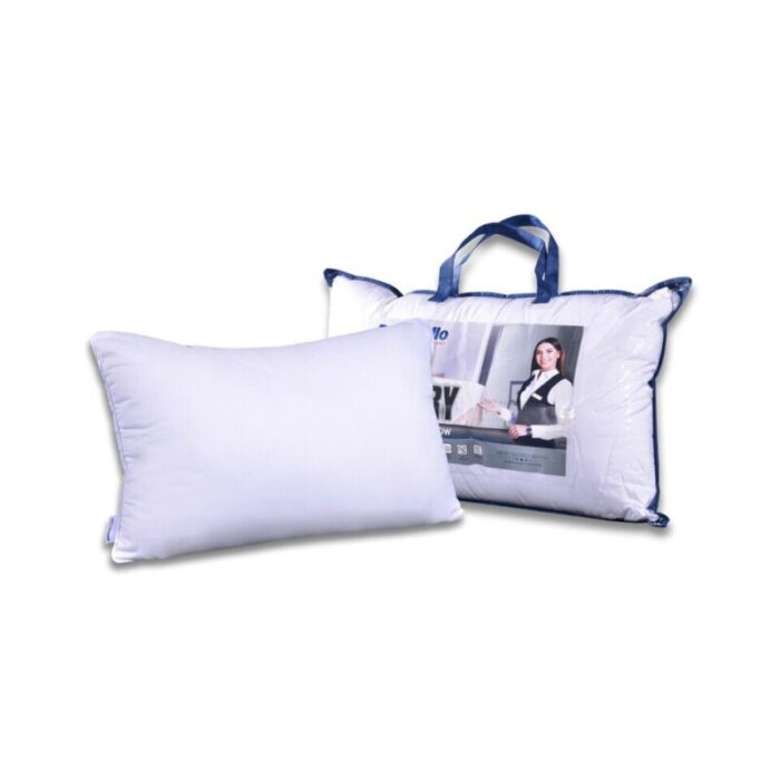 luxury hotel pillow 240619044630